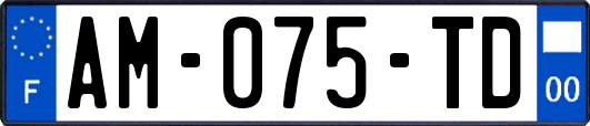 AM-075-TD