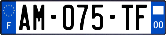 AM-075-TF