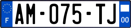 AM-075-TJ