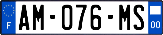 AM-076-MS