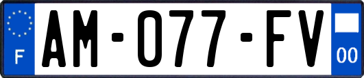 AM-077-FV