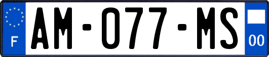 AM-077-MS