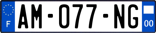 AM-077-NG