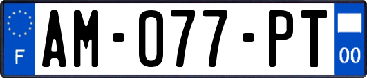 AM-077-PT