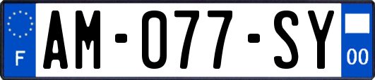 AM-077-SY