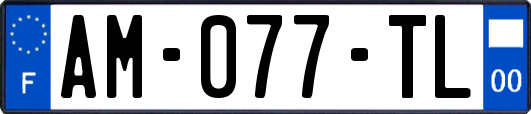 AM-077-TL
