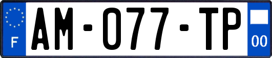 AM-077-TP