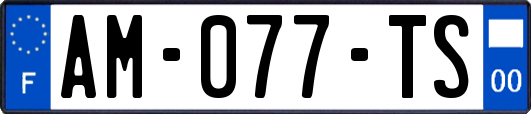 AM-077-TS
