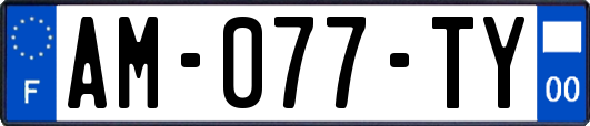 AM-077-TY