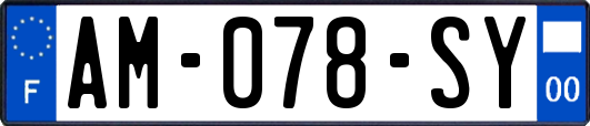 AM-078-SY