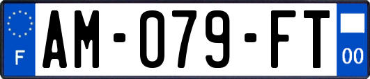 AM-079-FT