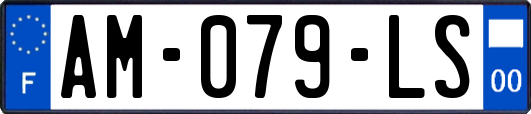 AM-079-LS