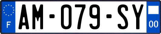 AM-079-SY