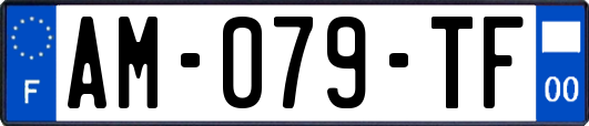 AM-079-TF
