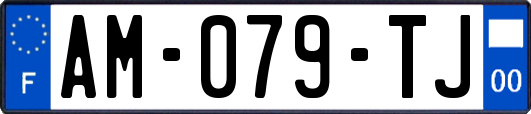 AM-079-TJ