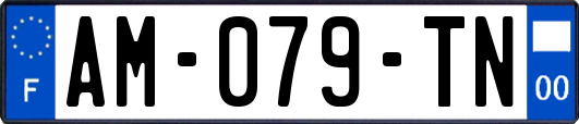 AM-079-TN
