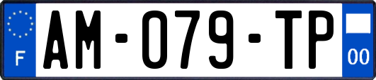 AM-079-TP