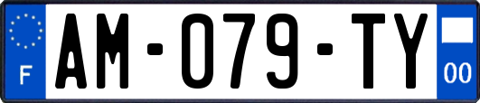 AM-079-TY