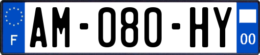 AM-080-HY