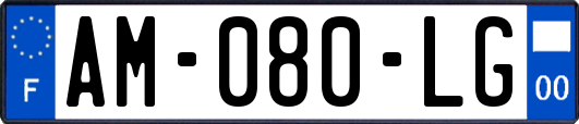 AM-080-LG