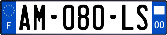 AM-080-LS