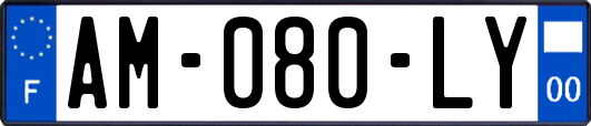 AM-080-LY