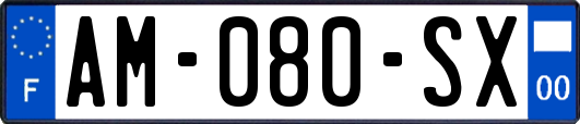 AM-080-SX