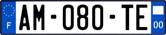 AM-080-TE