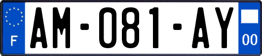 AM-081-AY