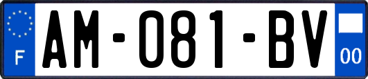 AM-081-BV