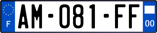 AM-081-FF