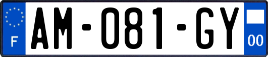 AM-081-GY
