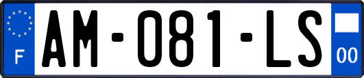AM-081-LS