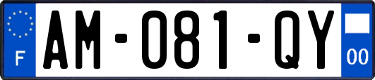 AM-081-QY
