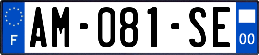 AM-081-SE