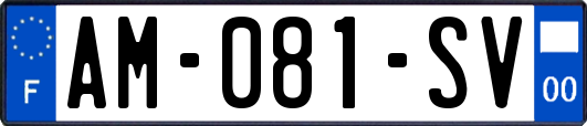 AM-081-SV