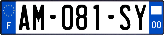AM-081-SY