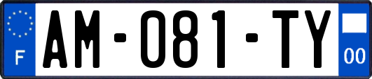 AM-081-TY