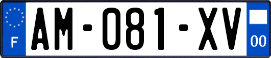 AM-081-XV