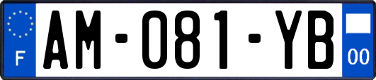 AM-081-YB
