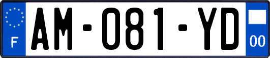 AM-081-YD