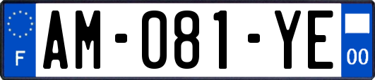 AM-081-YE
