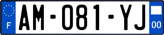 AM-081-YJ