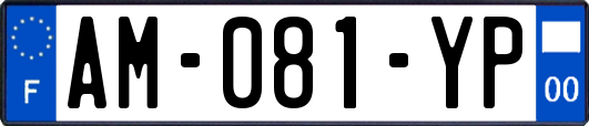 AM-081-YP