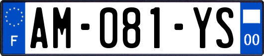 AM-081-YS