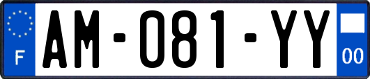 AM-081-YY
