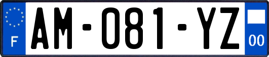 AM-081-YZ