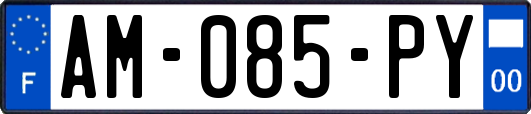 AM-085-PY