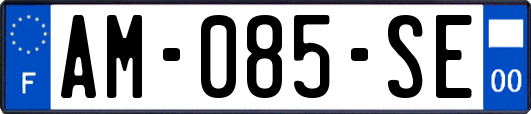 AM-085-SE