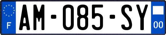 AM-085-SY